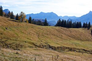 Forchneralm-0055-2021-10-31.jpg