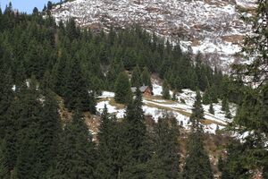 Goldbachalm jhtt donnersb. 62100 2017-10-26.jpg