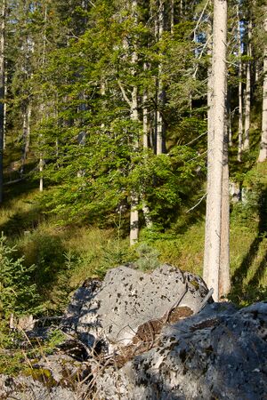 Grausen Straßen-BA-0038-2023-09-17.jpg