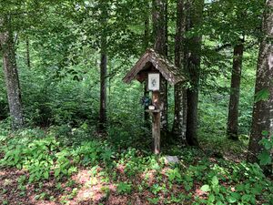 MA1 Koppentalstrasse-3102-2021-06-08.jpg