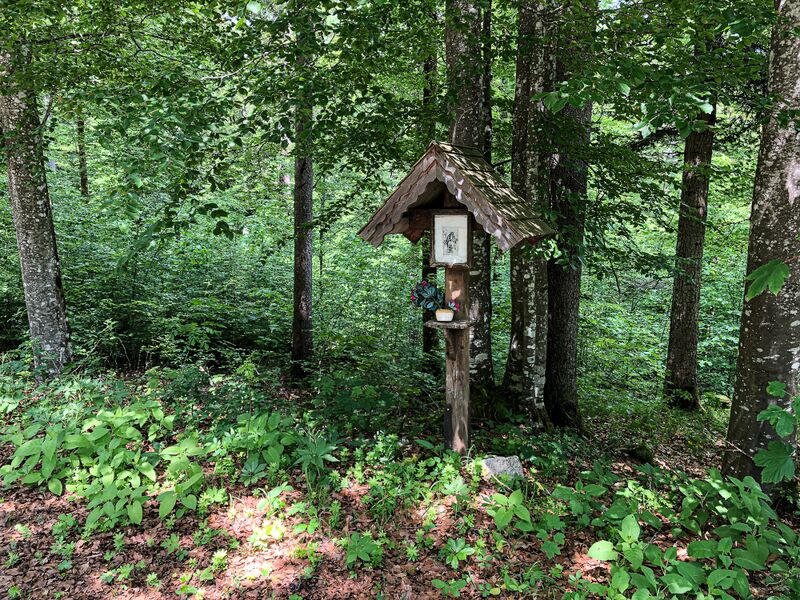 Datei:MA1 Koppentalstrasse-3102-2021-06-08.jpg