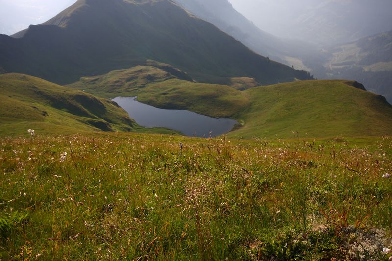 Datei:Moarsee 1064 13-08-06.jpg