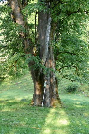 ND 917 Griesbach-0008-2025-06-18.jpg