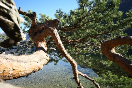 Naturdenkmal 339-1002-2014-11-03-3.jpg