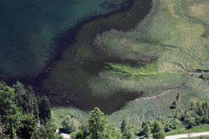 Steir.bodensee -labeck 49480 2017-06-09.jpg