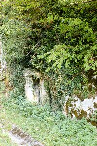 Straßenkreuz radlingpaß-0321-2023-09-29.jpg