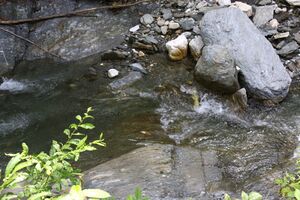 Walchenbach 66065 2014-07-01.jpg