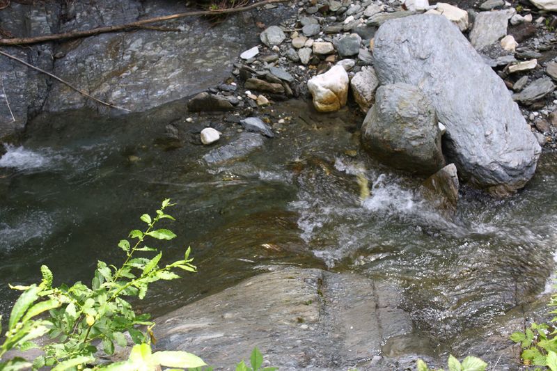 Datei:Walchenbach 66065 2014-07-01.jpg