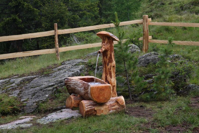 Datei:Wildkar 2168 2009-07-25.jpg