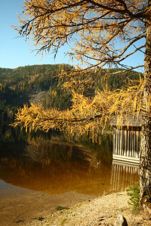 Ödensee 77933 2014-11-03.jpg