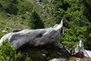 Auritzkar 94029 2015-06-26.jpg