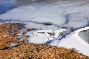 Duisitzkarsee 14335 2011-11-30.jpg