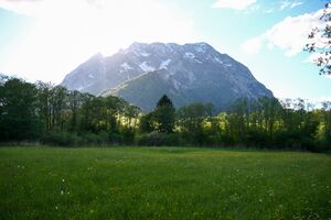 Europaschutzgebiet niederstuttern5143.jpg