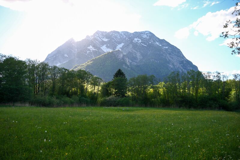 Datei:Europaschutzgebiet niederstuttern5143.jpg