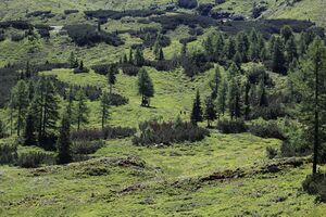 Gumpenkar 53169 2017-07-05.jpg