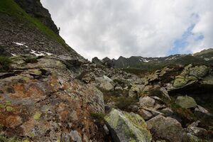 Im wildkar 23609 2008-06-26.jpg