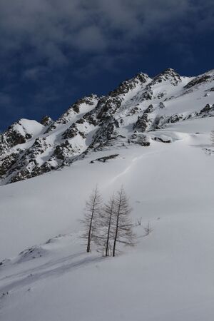 Innere alm 3077 2009-03-22.jpg