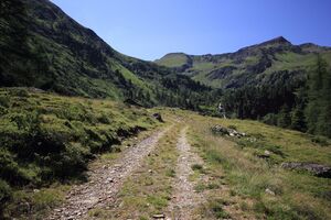 Kleinsölker Untertal 54326 2017-07-21.jpg