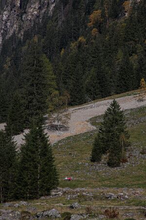 Kleinsölker tal 0694 2010-10-09.jpg