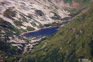 SchimpelseeIMG 1736.jpg