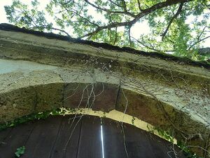 Schloss Röthelstein390983.JPG