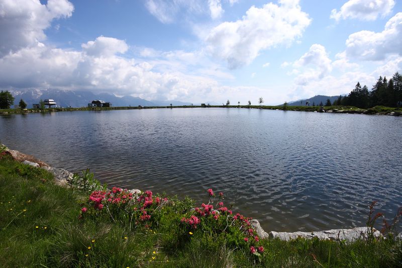 Datei:Speicherteich Reiteralmsee 65700 2014-06-27.jpg