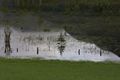 Tettermoor-hochwasser 0846 2012-07-21.jpg