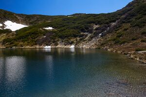 Untere riednersee-1005-2020-06-12-3.jpg