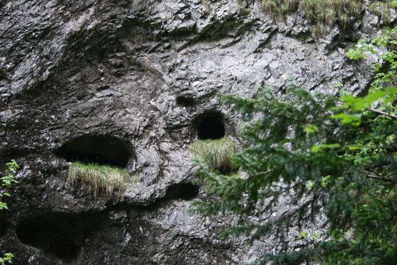 Datei:Wörschachklamm6212.jpg