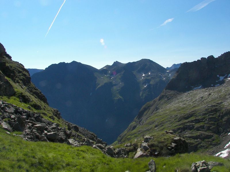 Datei:Wildkar 17444 2006-07-17.jpg