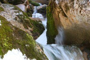Feisterbach 1152 2008-04-17.jpg
