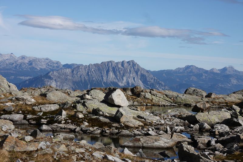 Datei:Goldlacken 0399 2013-10-08.jpg