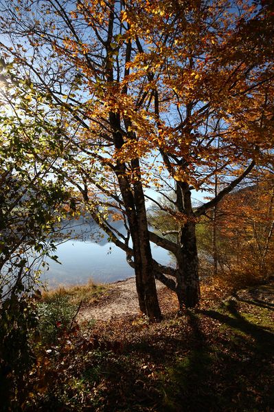 Datei:Grundlsee See 77885 2014-11-03.jpg