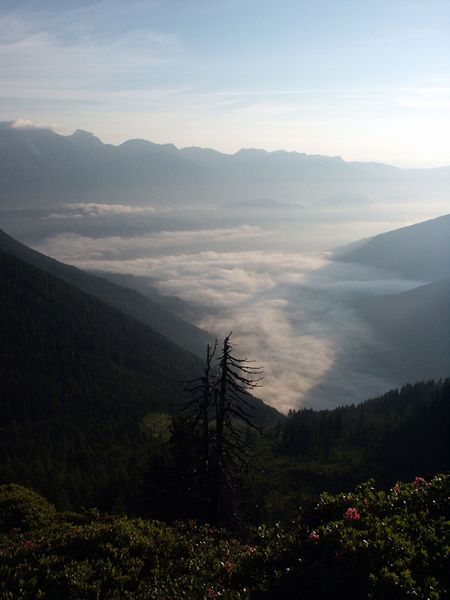 Datei:Guschen 15217 2002-06-30.jpg