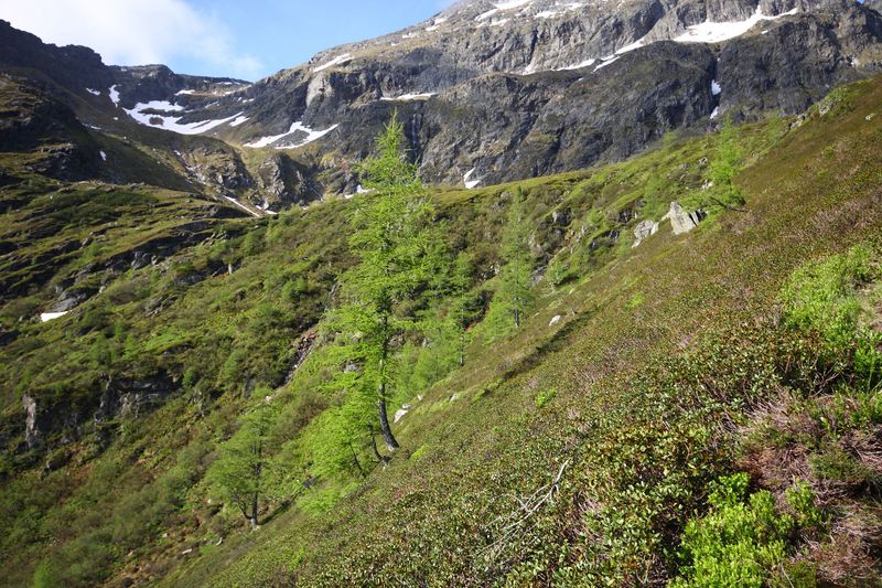 Datei:Katschtal 92588 2013-06-16.jpg