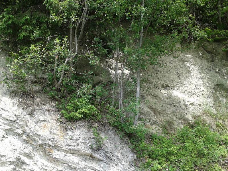 Datei:Mitterberg Südhang.jpg