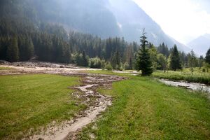 Mure Untertal-041-2026-06-30.jpg
