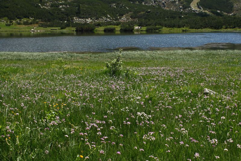 Datei:Plannersee 65275 2014-06-26.jpg