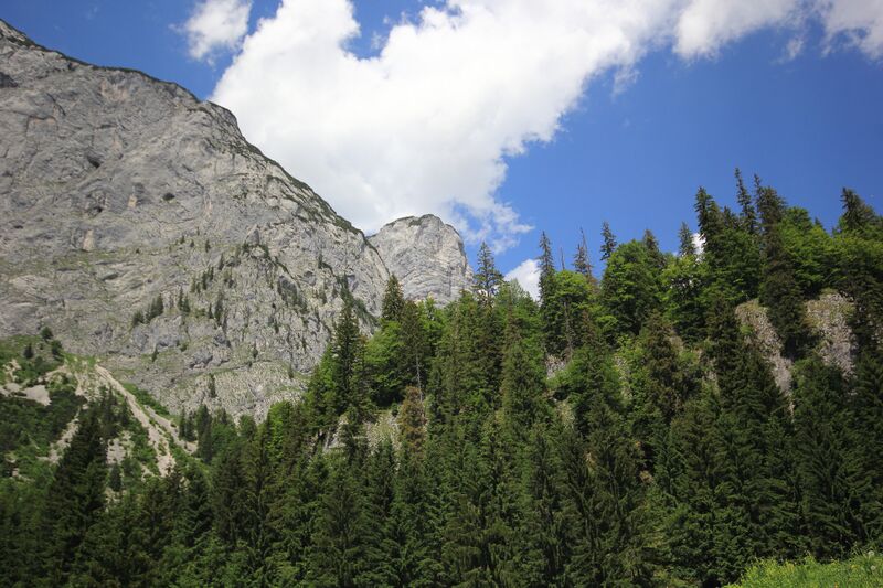 Datei:Siniweler zimitzalm 77823 2018-06-04.jpg