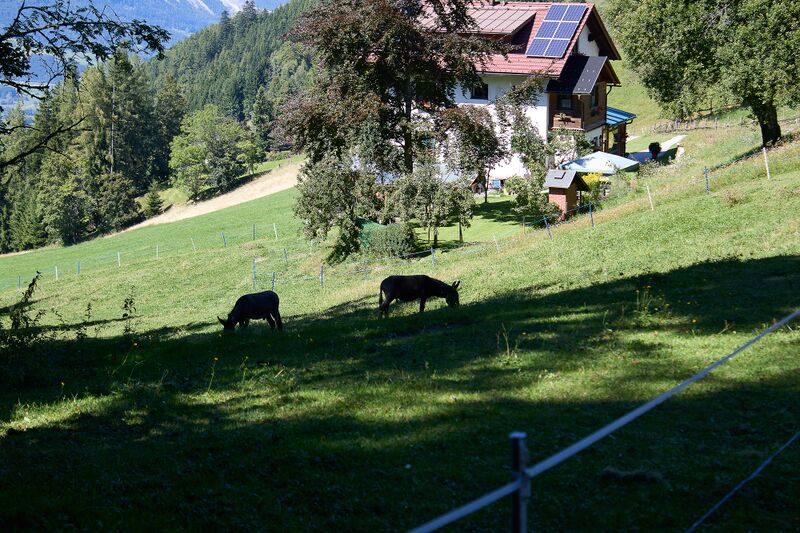 Datei:Vlg rudorfer erlsberg-0406-2025-09-01.jpg