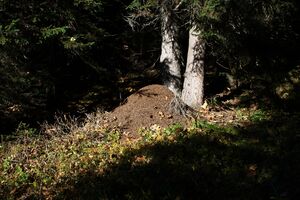 Am lengdorfer berg südlich 11015 2015-10-27.jpg