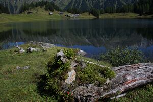 Duisitzkarsee 15132 2011-08-28.jpg