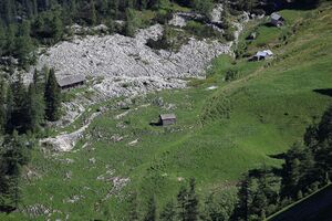Gschwandalm loser 50375 2017-06-11.jpg