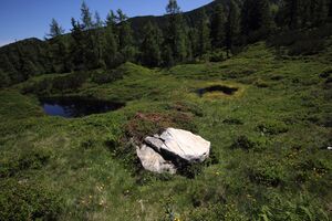 Gumpenkar 53180 2017-07-05.jpg