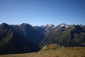 Hochgolling zwerfenber planaiHW 1038 2011-08-11.jpg