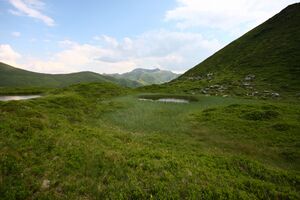 Krottenseen 1694 13-08-05.jpg