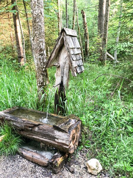 Datei:Schutzhütte koppental-3101-2021-06-08.jpg