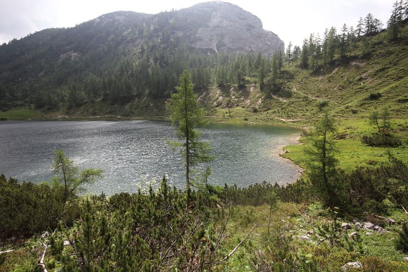 Datei:Schwarzensee tot-geb 51390 2017-06-24.jpg