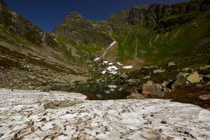 Stegerkarsee-2014-2021-06-21.jpg