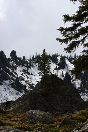 Strickerkar 55677 2014-05-02.jpg